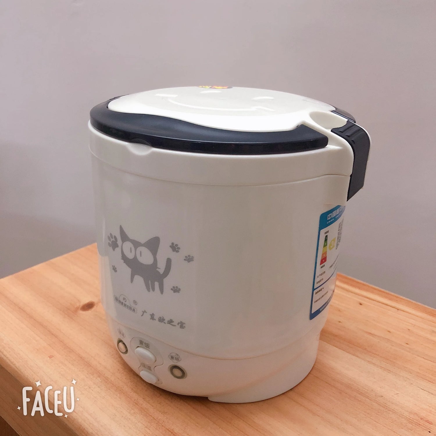 1L 110V Rice Cooker Used in House Enough for Two Persons with English Instructions to 110V Countries