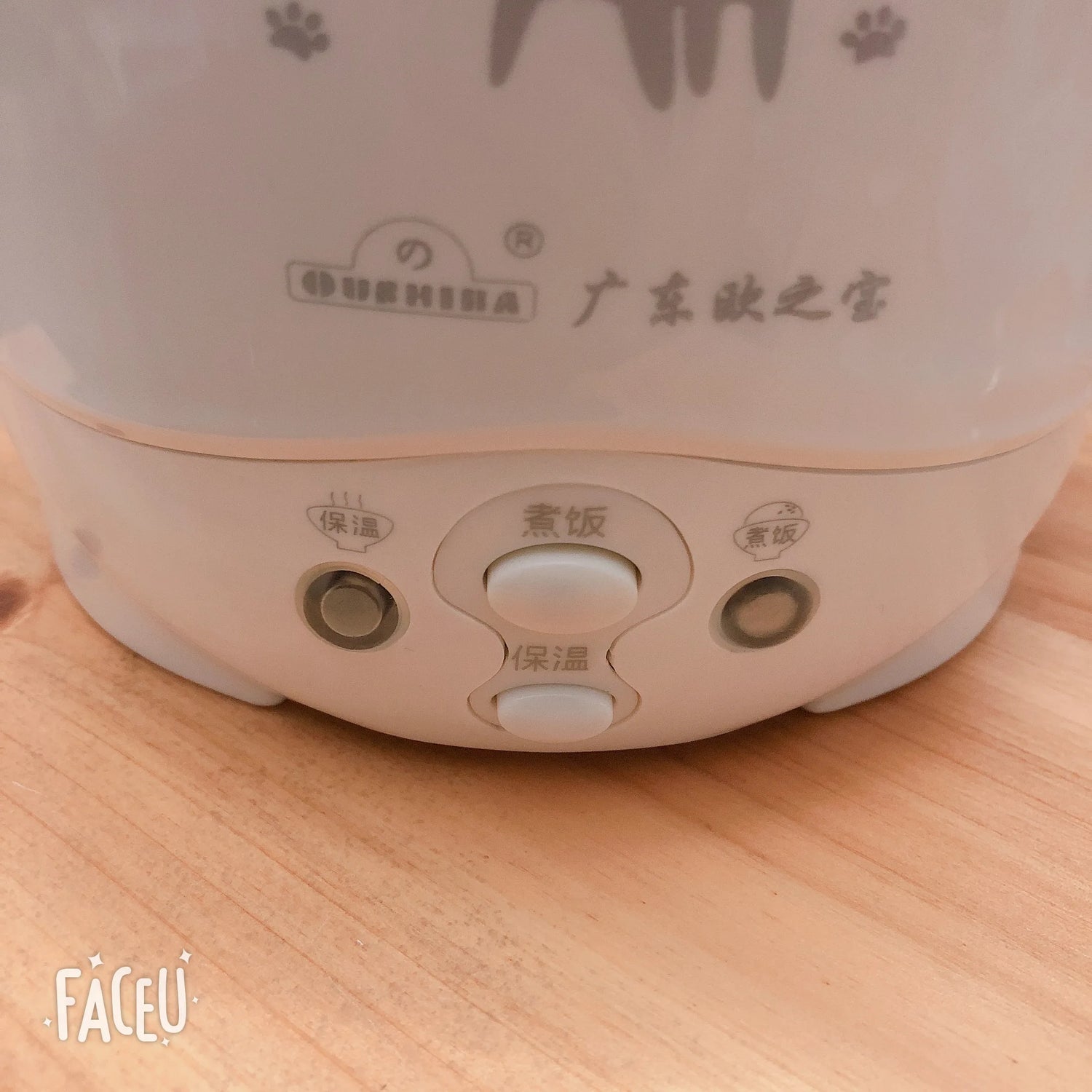 1L 110V Rice Cooker Used in House Enough for Two Persons with English Instructions to 110V Countries